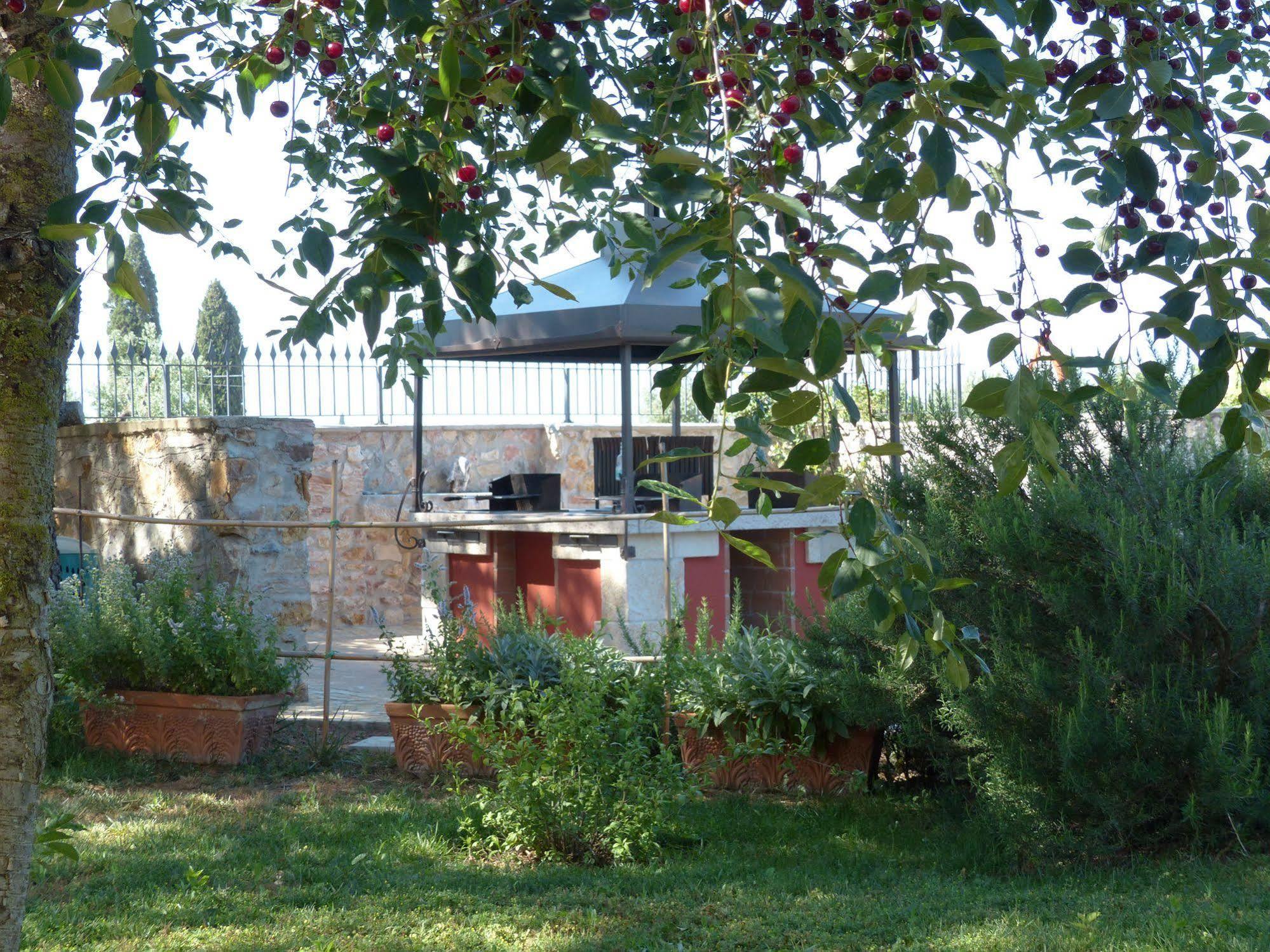 Le Vecchie Scuole Campiglia Marittima