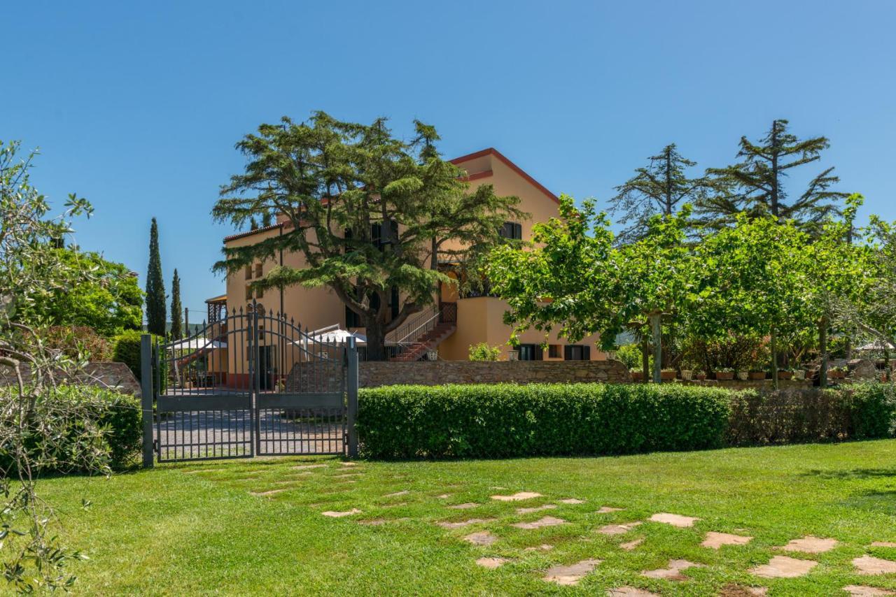 Le Vecchie Scuole * Campiglia Marittima
